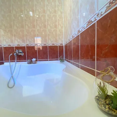 Hc 公寓 蒂米什瓦拉