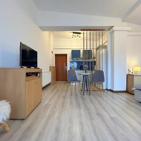 Hc Apartment Timisoara