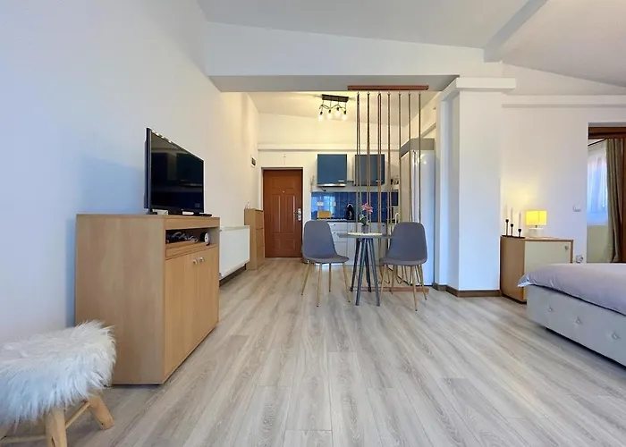 Hc Apartment Timisoara