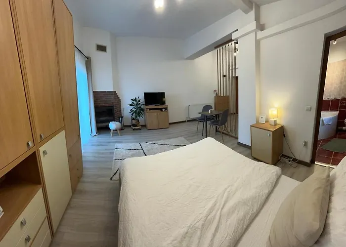 Hc 公寓 蒂米什瓦拉